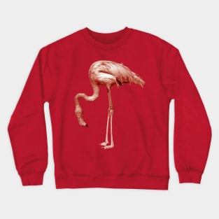 Monochrome - pink flamingo nr2 Crewneck Sweatshirt